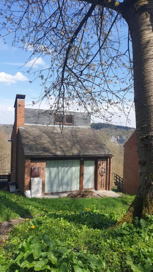 La Cabane D'Helie - Cottage En Pleine Foret - Domaine Du Bonsoy Hastiere-par-dela Exterior foto